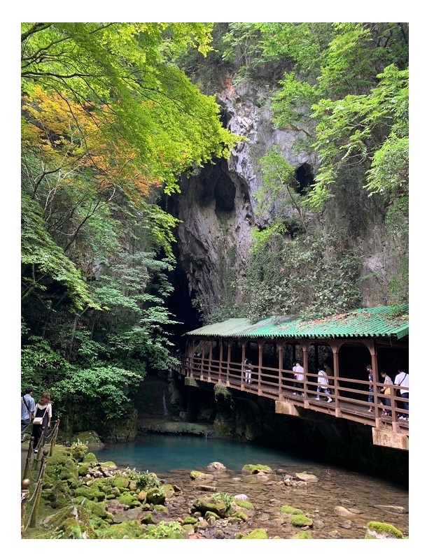 研修
